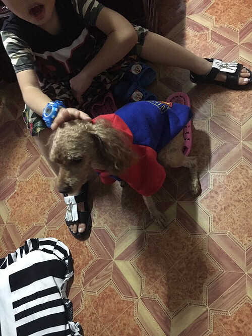 ������mony��������ǰ����̩��԰��ʧ��