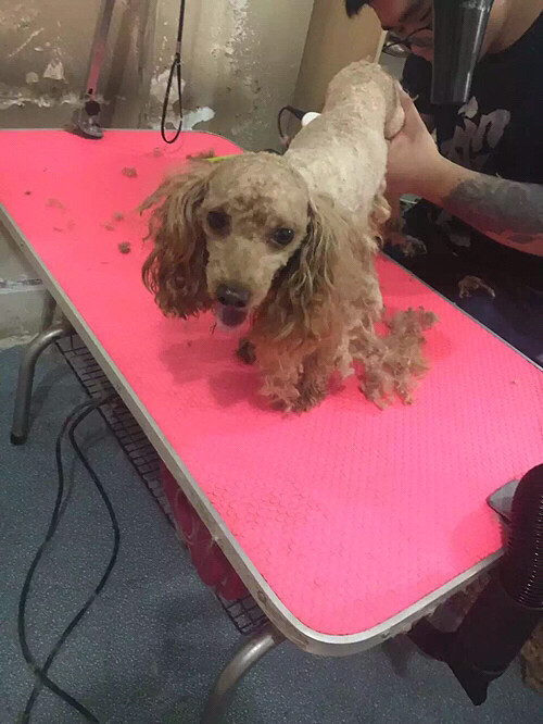 ������mony��������ǰ����̩��԰��ʧ��