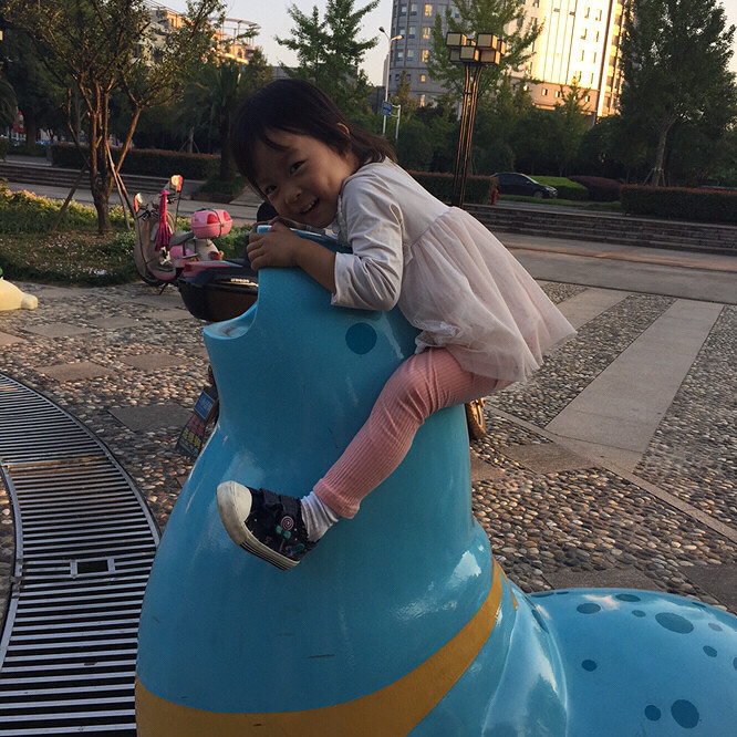 ������������ҪƱ