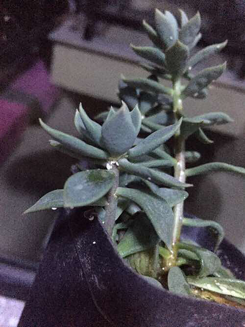 �ж����ᣬ��ⶾ