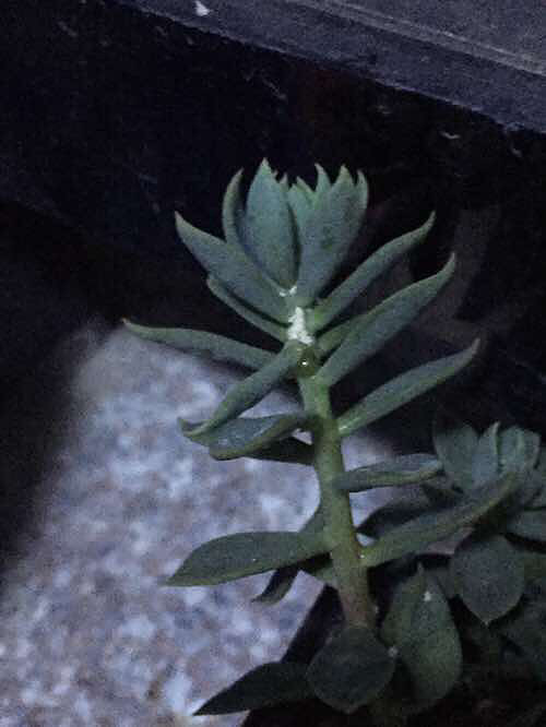 �ж����ᣬ��ⶾ