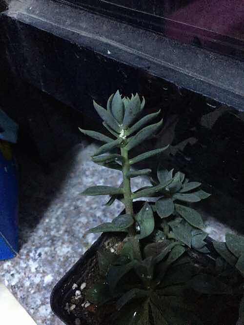 �ж����ᣬ��ⶾ