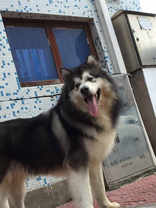 �����ҼҶ���