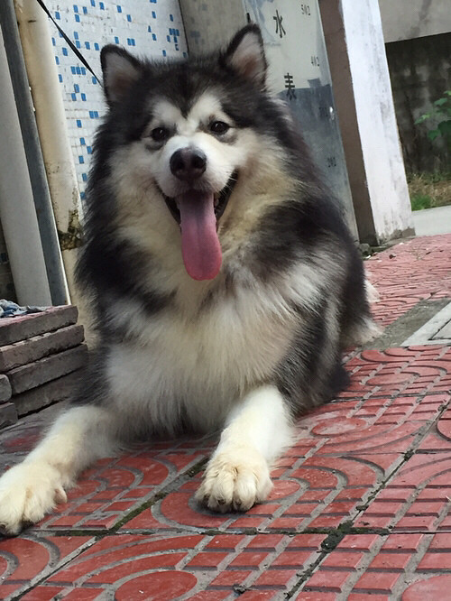 �����ҼҶ���