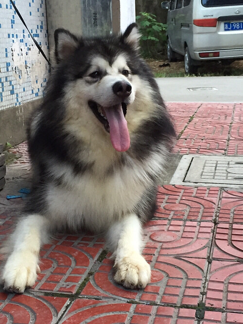 �����ҼҶ���