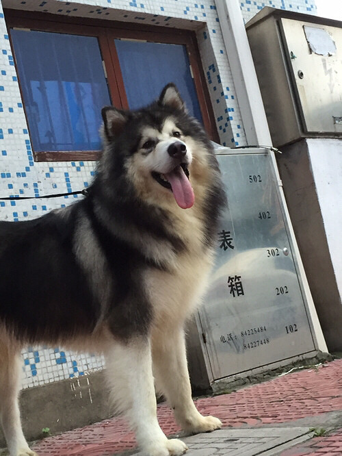 �����ҼҶ���