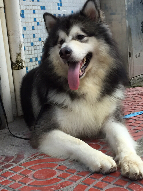 �����ҼҶ���