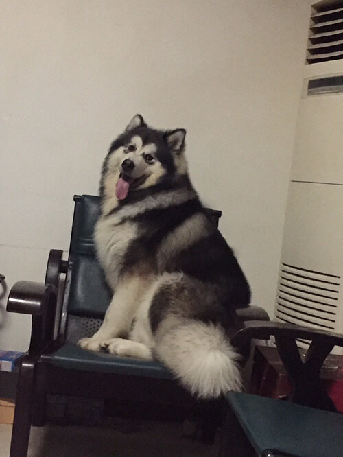 �����ҼҶ���