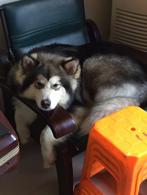 �����ҼҶ���