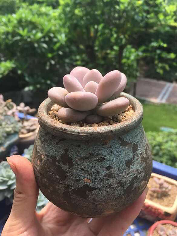 �������