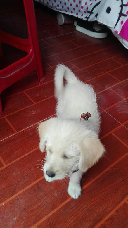 ������ʿ����ߡ���