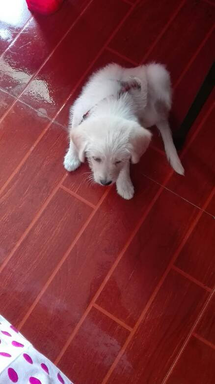 ������ʿ����ߡ���