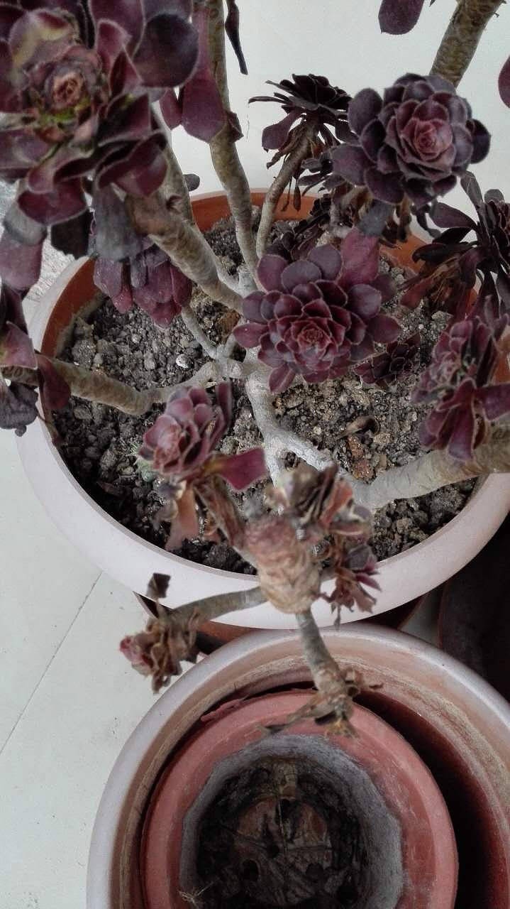 ��������ĺڷ�ʦ��ô����