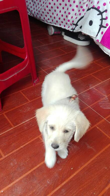 ���鲻����