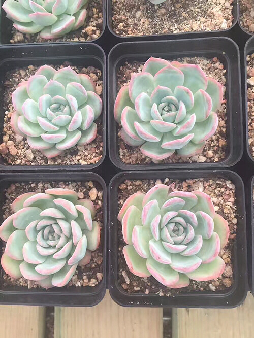 �µ��Ķ��⣬�п�����