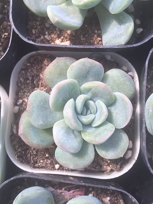 �µ��Ķ��⣬�п�����