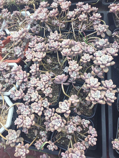 �µ��Ķ��⣬�п�����