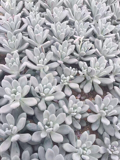 �µ��Ķ��⣬�п�����