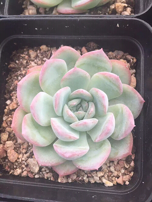 �µ��Ķ��⣬�п�����