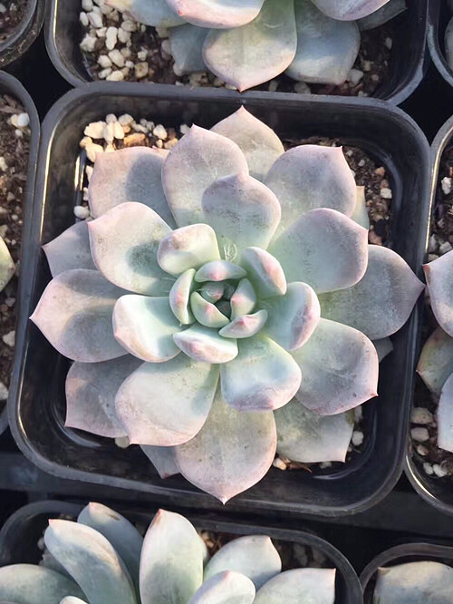 �µ��Ķ��⣬�п�����