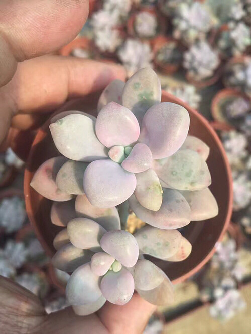 �µ��Ķ��⣬�п�����