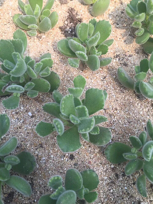 �µ��Ķ��⣬�п�����