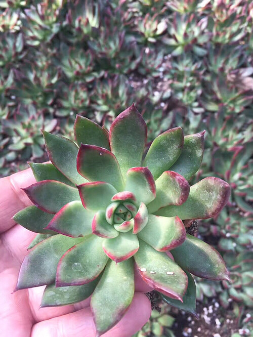 �µ��Ķ��⣬�п�����