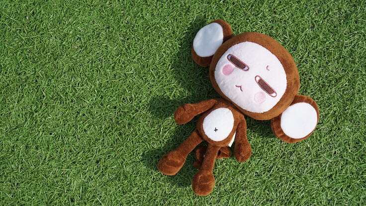 ����Ҫ����