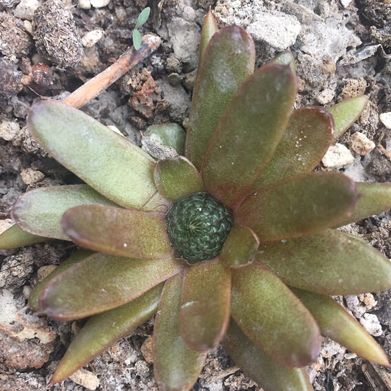 ����ʲô���⣬����Ѹ�֮��лл