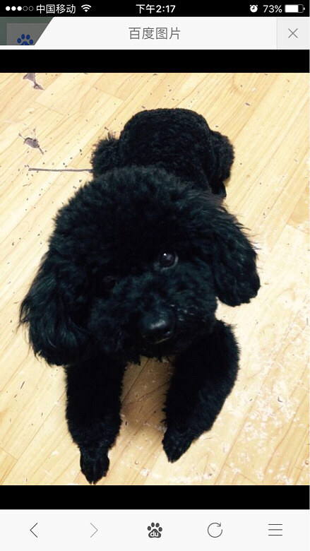 �����������Ѱ�����ˣ�������������ֻҪ�����þ��У�