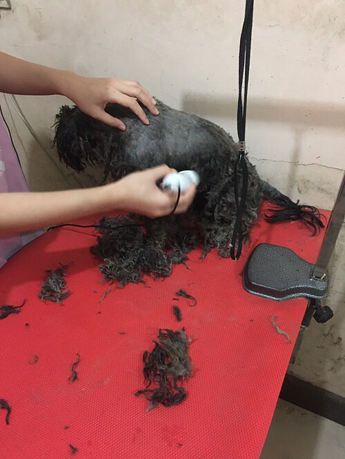 �����������Ѱ�����ˣ�������������ֻҪ�����þ��У�