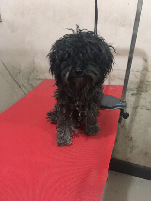 �����������Ѱ�����ˣ�������������ֻҪ�����þ��У�