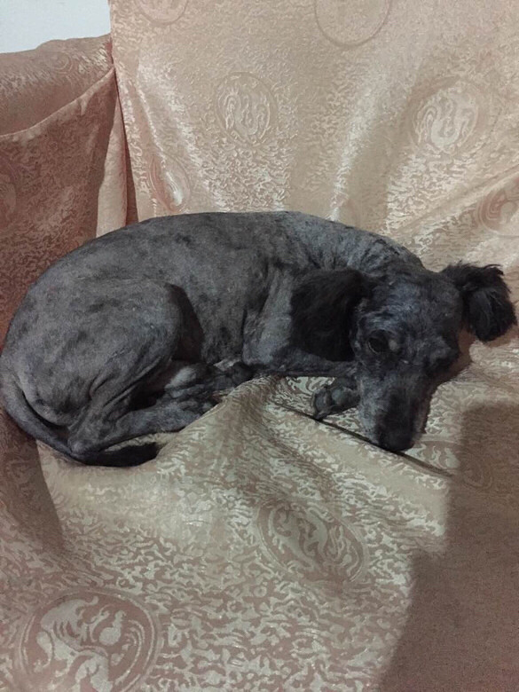 �����������Ѱ�����ˣ�������������ֻҪ�����þ��У�