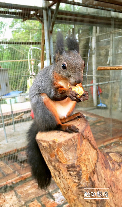 ��Ϣ��®ʫ�ݡ�����˫���ƣ���������Ѿ����