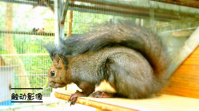 ��Ϣ��®ʫ�ݡ�����˫���ƣ���������Ѿ����