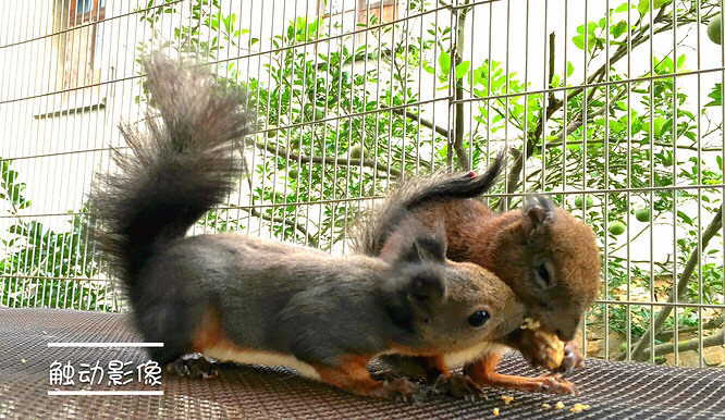 ��Ϣ��®ʫ�ݡ�����˫���ƣ���������Ѿ����