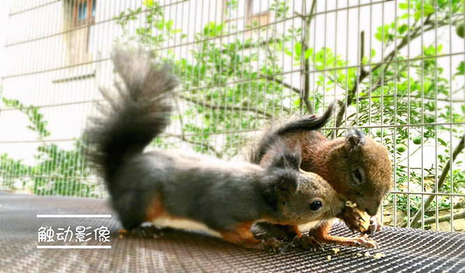 ��Ϣ��®ʫ�ݡ�����˫���ƣ���������Ѿ����