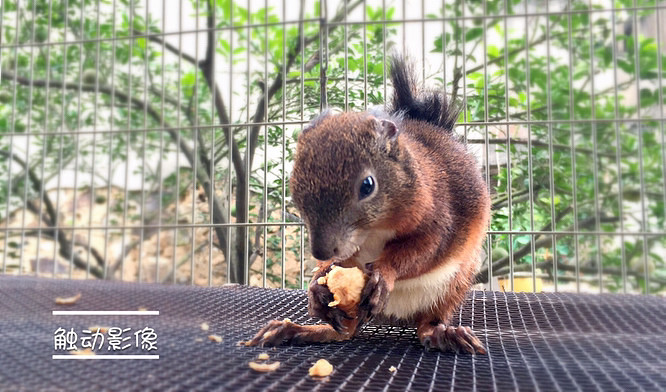 ��Ϣ��®ʫ�ݡ�����˫���ƣ���������Ѿ����