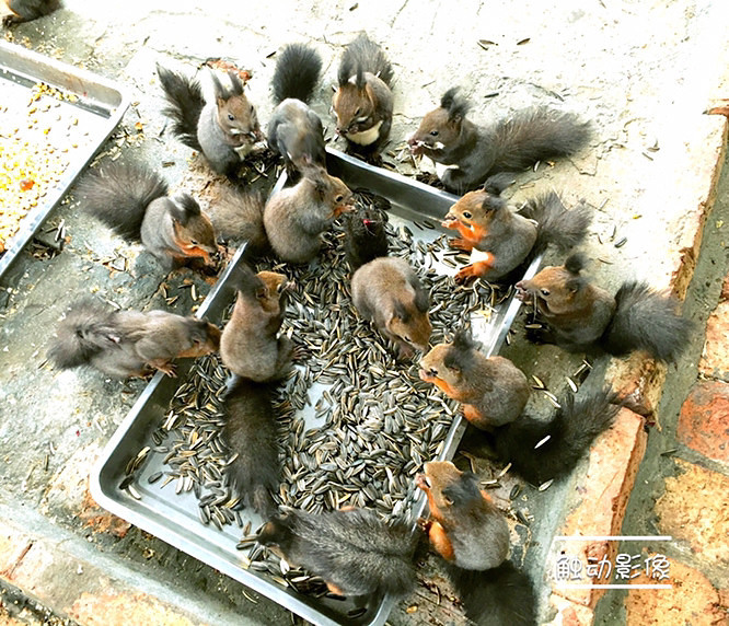 ��Ϣ��®ʫ�ݡ�����˫���ƣ���������Ѿ����