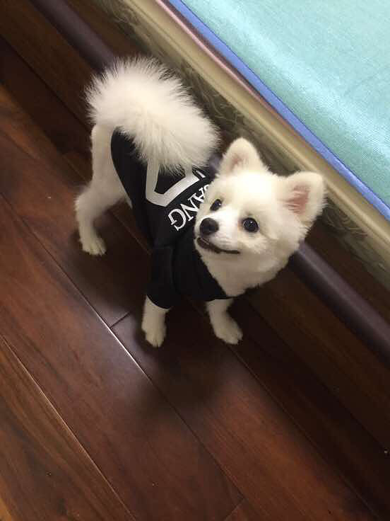 ���ų��ų�����