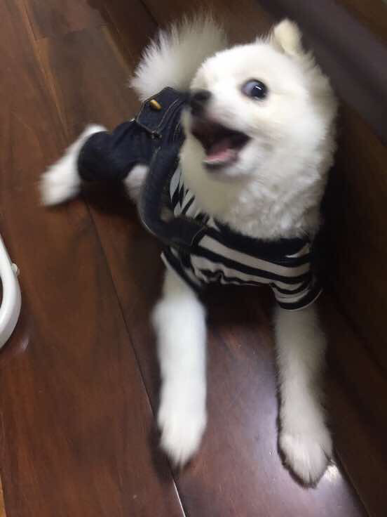 ���ų��ų�����