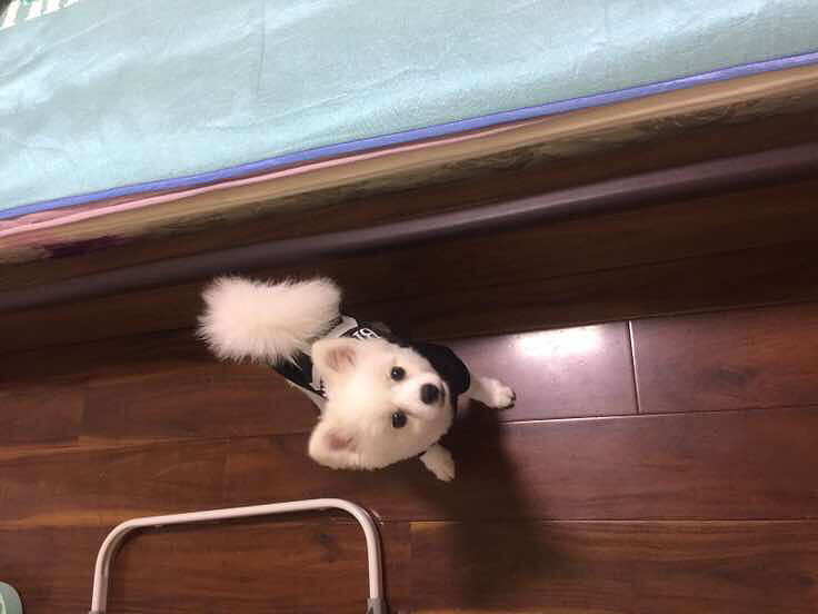 ���ų��ų�����