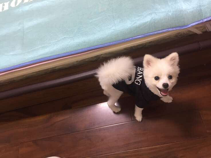 ���ų��ų�����