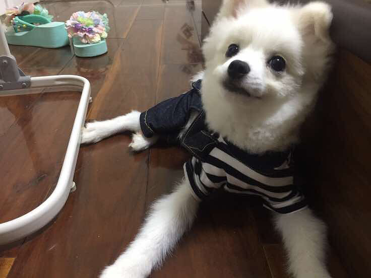 ���ų��ų�����