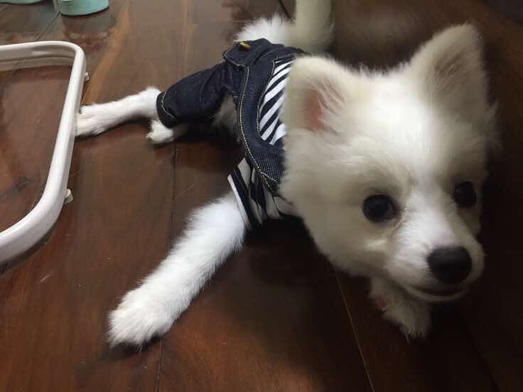 ���ų��ų�����