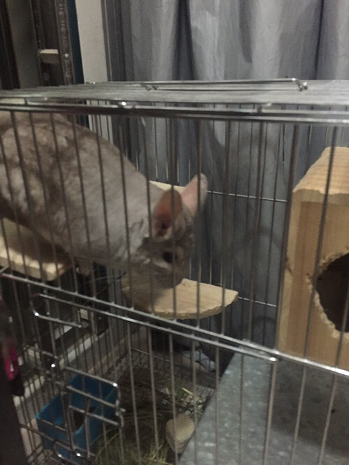 wuli֥���С����һ������