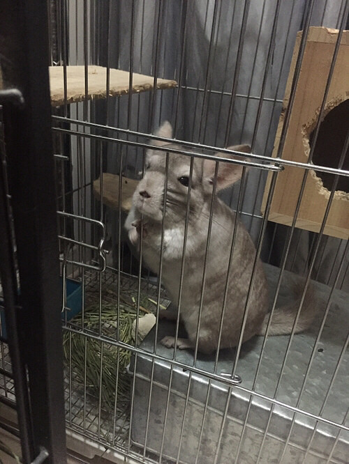 wuli֥���С����һ������