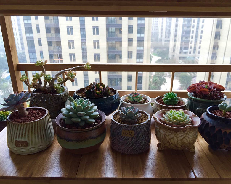 �������ڹ�ȥ���Ҵ��߿�ʼ����������