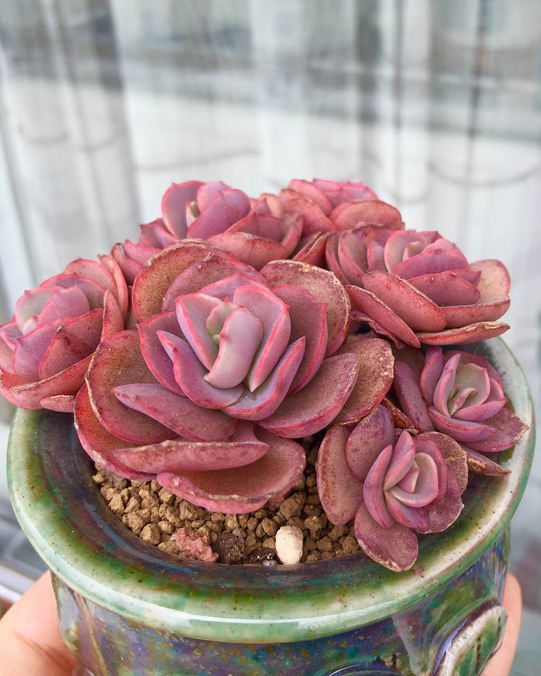 �������ڹ�ȥ���Ҵ��߿�ʼ����������