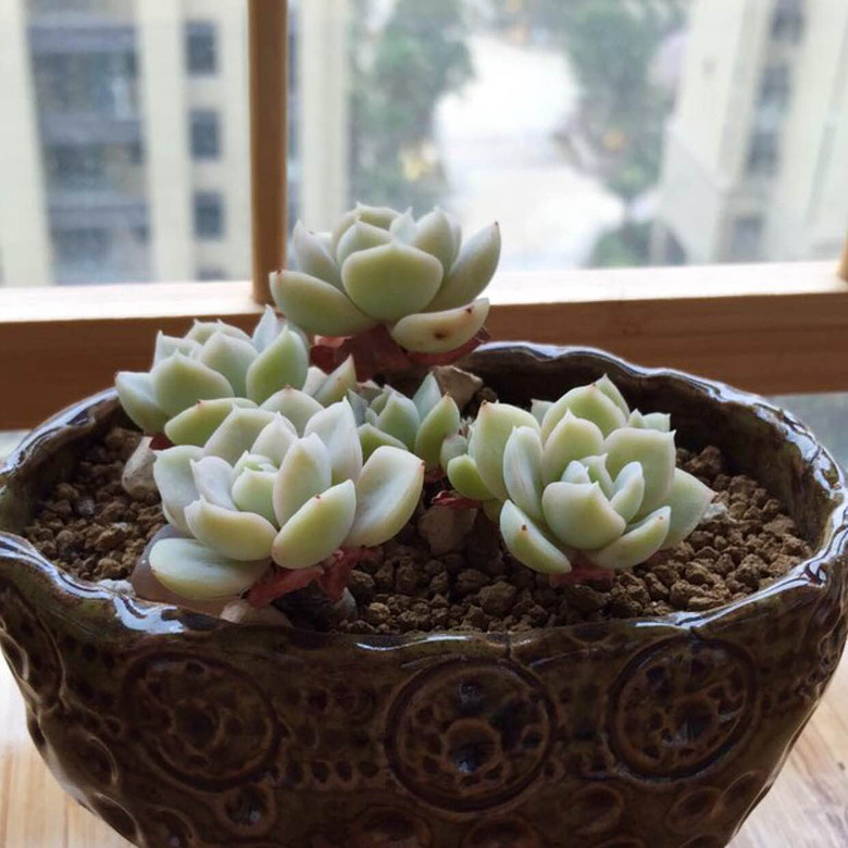 �������ڹ�ȥ���Ҵ��߿�ʼ����������